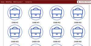 Interactive Cases